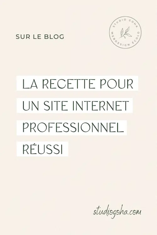 site internet professionnel