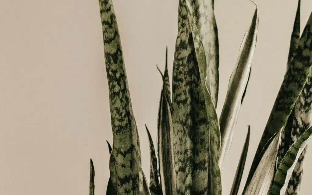 site internet éco responsable