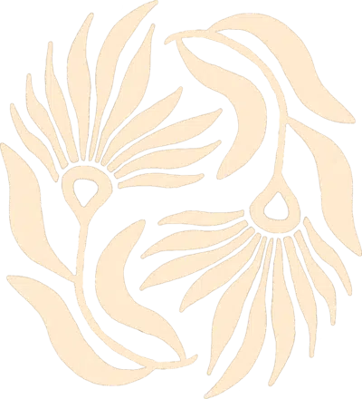 création site internet éco responsable